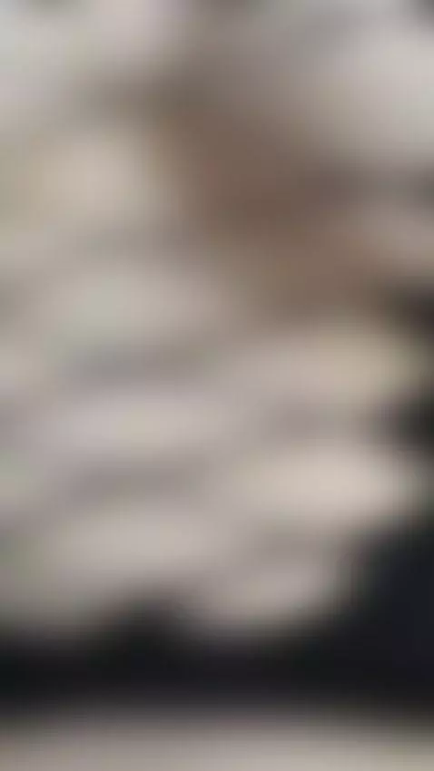 Come, I want you to lose your head with me tonight by oliviaclarck