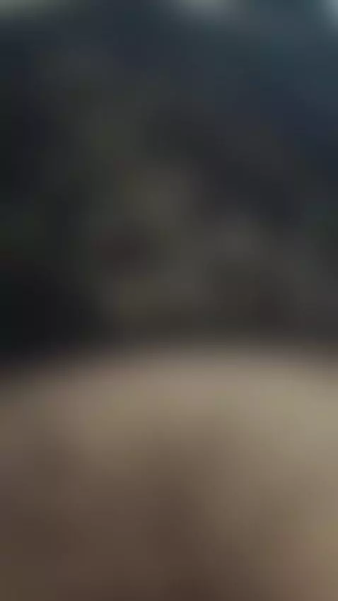 My bristled skin, my body ready by oliviaclarck