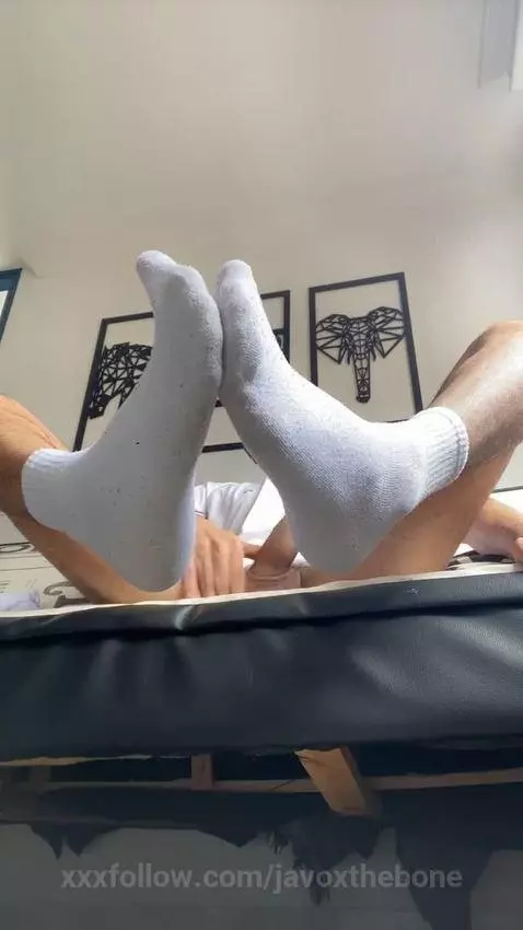 sniff them by javoxthebone