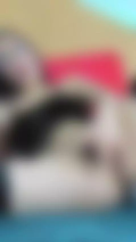 🥵 Don't touch me. Just watch me touch myself 💦💦 by kate-evans1