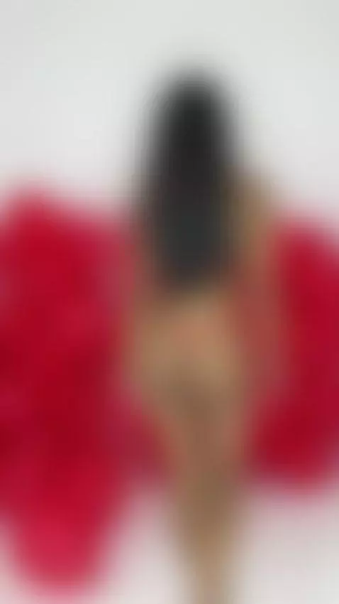 Happy Valentine Day 🌹 by pocahontas-pow