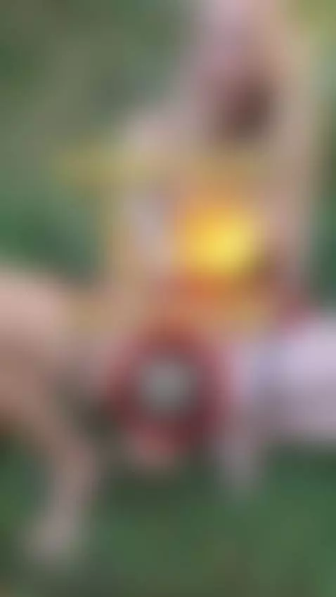 On F2F you see all my fantasy dildo shows. Feel me? Go to th... by butterflynl