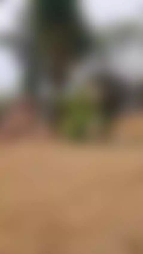 😈Telegram vip - t.me/espuletabot  - click on my pinned link,... by espuleta