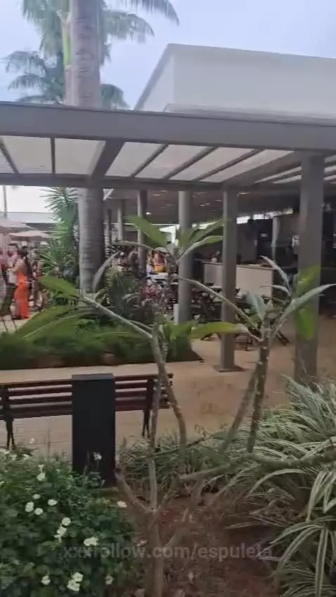 Today is the day to shake without panties on their laps by espuleta