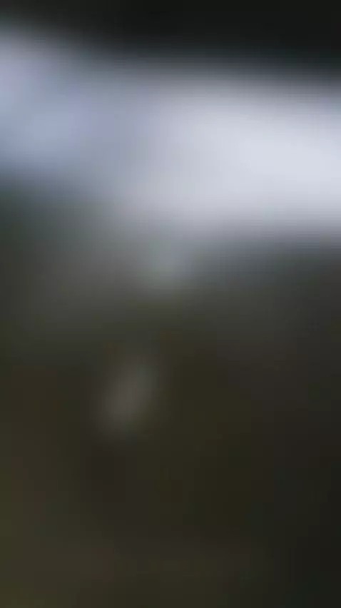 upskirt, blonde, latina by espuleta