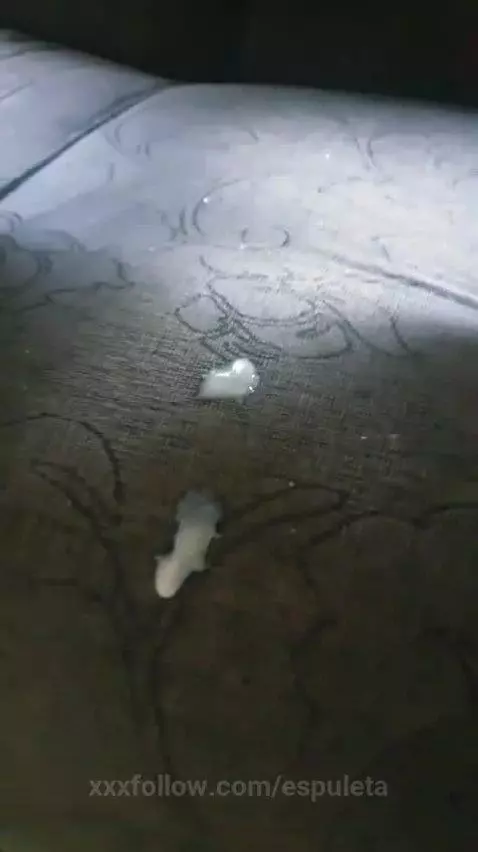 blonde, latina, pussy by espuleta