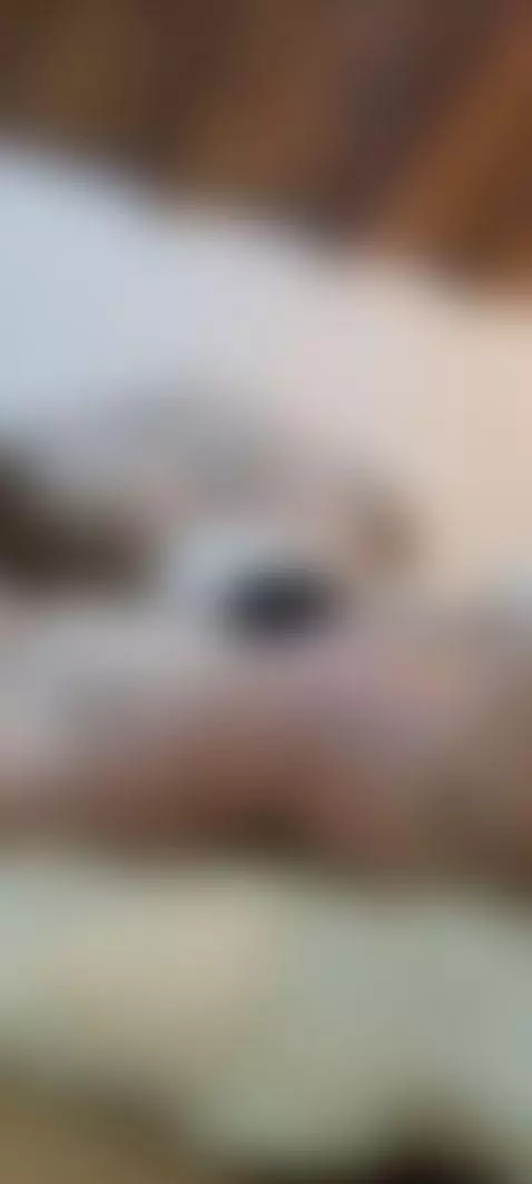 ♥‿♥ Full video on my pinned link (♡´౪`♡) > https://espuleta.... by espuleta