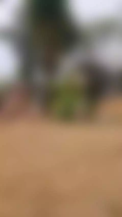 (｡◕‿◕｡) Follow me baby (◡‿◡✿) > https://espuleta.vip/ by espuleta