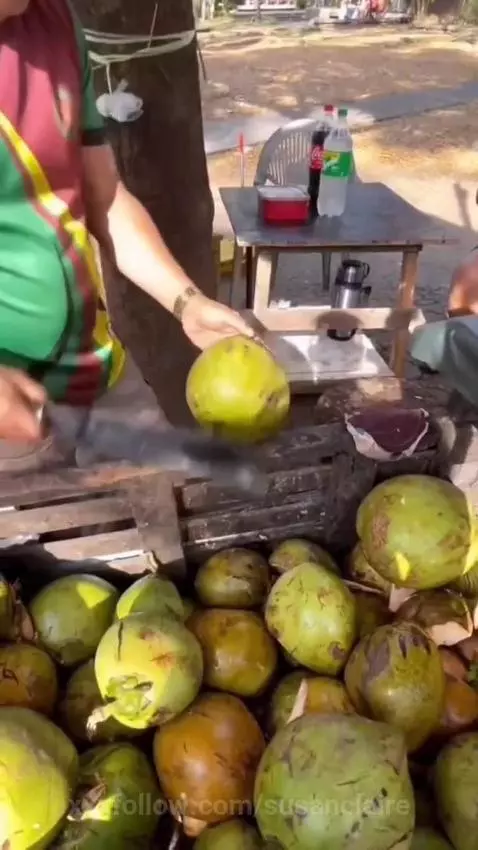 juices by susanclaire