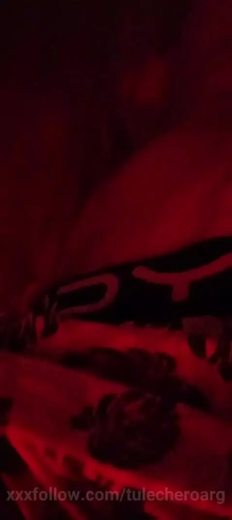 🍌 by tulecheroarg