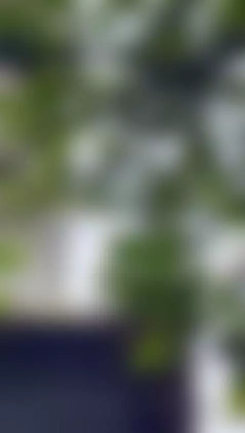 I think they saw my little tits from the heights, tell me th... by sabrina-spell