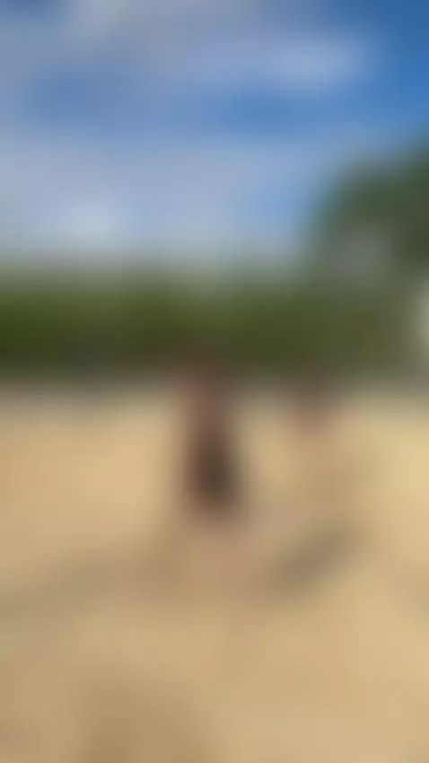 Do you want to play with us today? by sabrina-spell