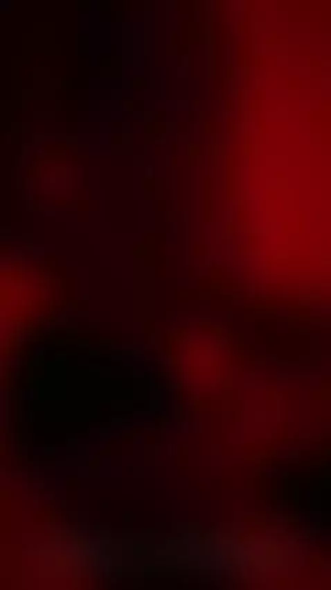 imagine yourself in my room by trollerthomas