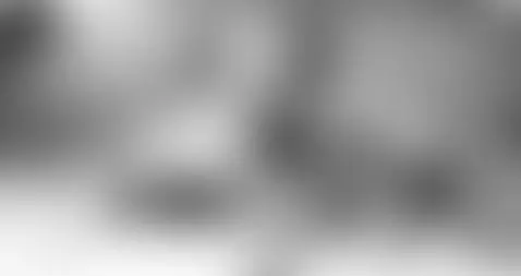 The trios are the most delicious 😋 by trollerthomas