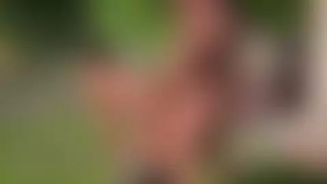 𝐓𝐡𝐚𝐭 𝐠𝐮𝐲 𝐢𝐬 𝐬𝐨 𝐤𝐢𝐧𝐝, 𝐡𝐞 𝐠𝐢𝐯𝐞𝐬 𝐦𝐞 𝐚 𝐛𝐫𝐮𝐭𝐚𝐥 𝐰𝐞𝐥𝐜𝐨𝐦𝐞 𝐟𝐮𝐜𝐤 🥵🔥🔞 by marianamartixx