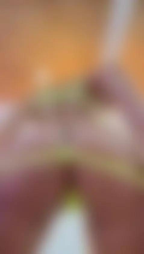 latina, sexy, ass by natashalewiss