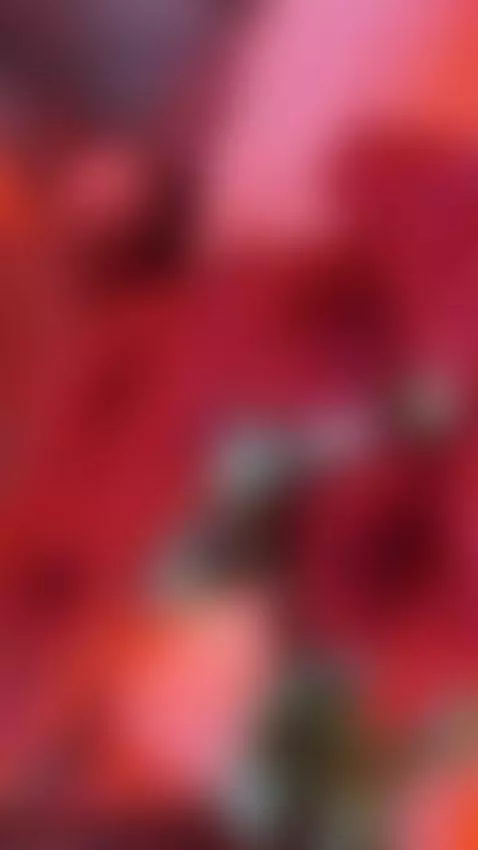 SPECIAL SHOW  14TH FEB 🤩 DON'T MISS IT by astergray