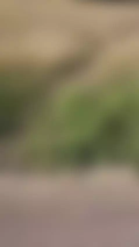 Glory last forever by bstrikecontent1