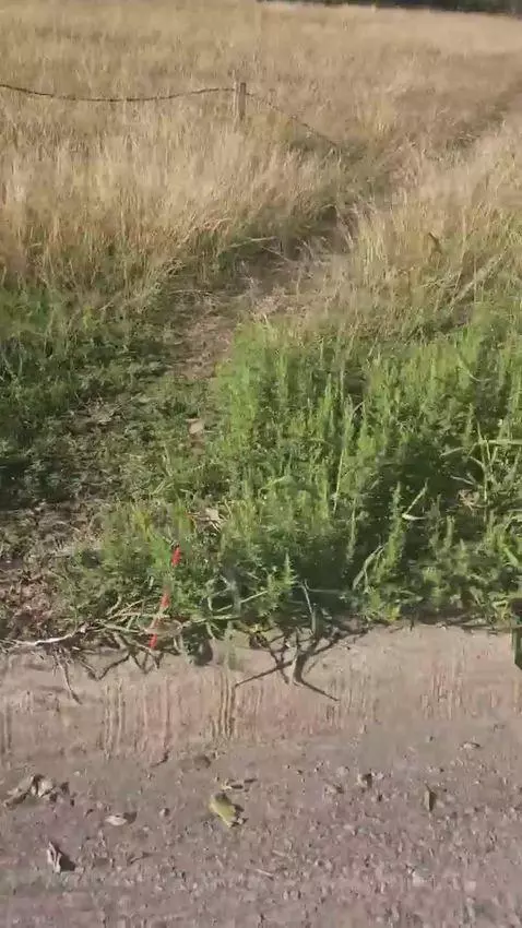 Glory last forever by bstrikecontent1