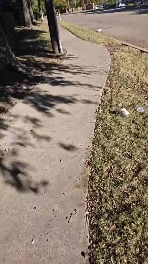 Out in nature by bstrikecontent1