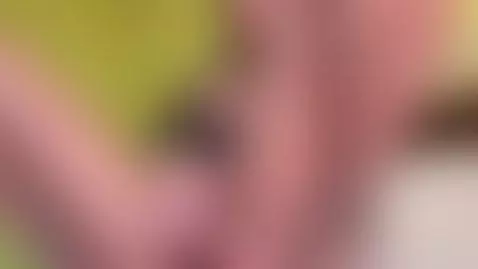 💥 Ready for a private show? One click and you’re in! 🔥 by samyquin