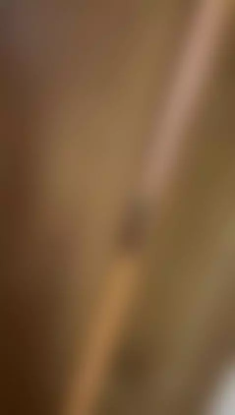 I think someone is spying on me by naomyrey