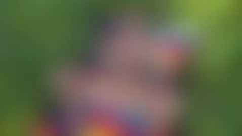 I was so wet I couldn't wait. Glasses on, legs spread, and m... by emmanatural