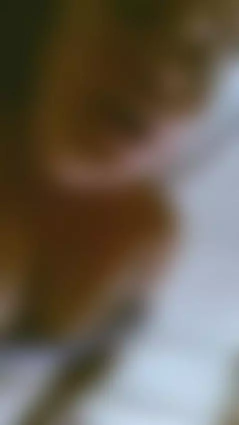 I'm still waiting here by evaa-grey