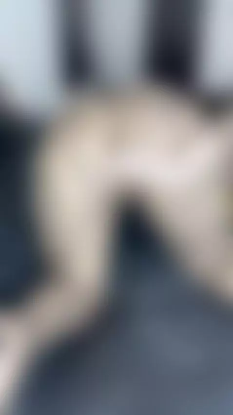 Bet you’re close already and I haven’t said much by kathrinewolf