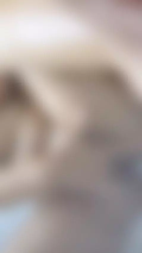 Want to hear what I did with your last message by sianalopes