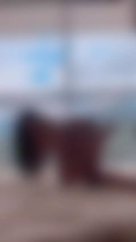 That's how I feel 🐈‍⬛🐈‍⬛🐈‍⬛ by danilopezzz