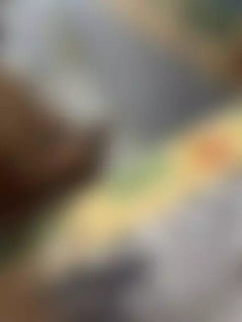 bigdick by bhanu12344444444444