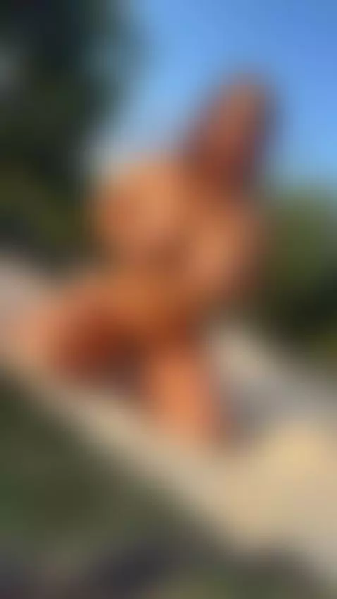 Now what will you do with them? by melisurita