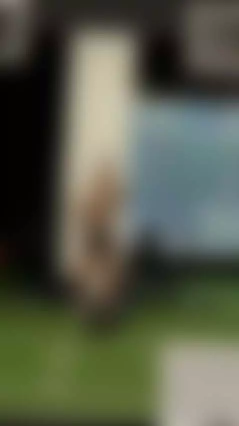 Wanna do some cardio with me, sweetie? by melisurita