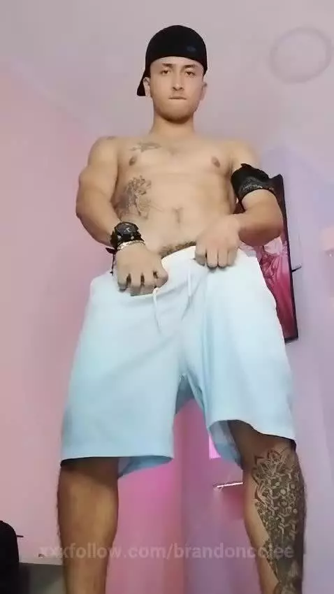 Caught between ‘good boy’ and ‘bad idea’ 😏 by brandoncolee