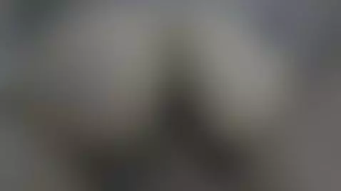 He asks me for a cock, and what a delight it is like when it... by andrewonsecret