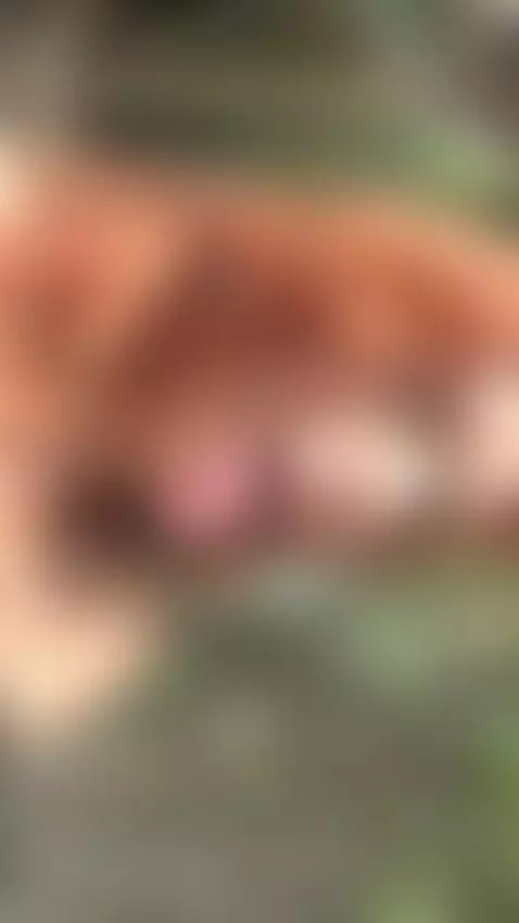 18+ Redhead's perky small tits & teasing tongue. by adelka2003