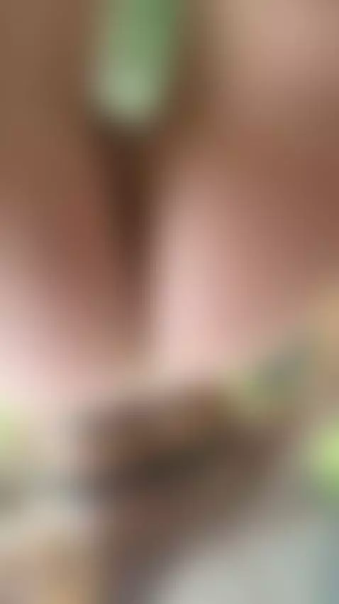 18+ Sexy nude tits and plump ass in harness. by adelka2003