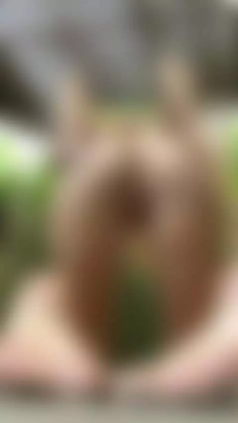 18+ Nude juicy ass bent over, bare pussy exposed outdoors. by adelka2003