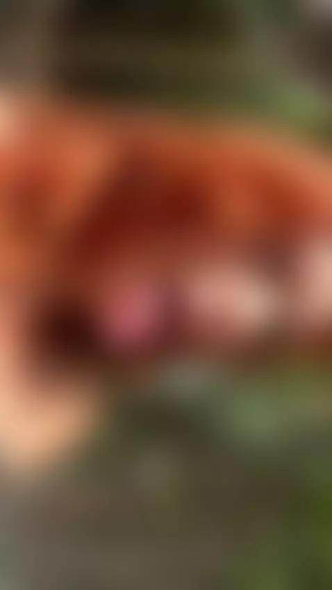 18+ Sexy redhead's perky small tits & teasing tongue. by adelka2003