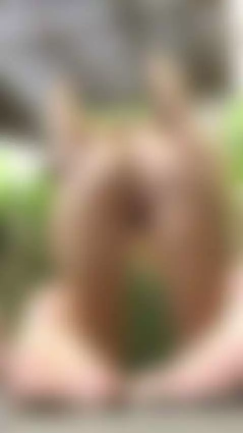 18+ Sexy nude ass bent over, bare pussy teasing. by adelka2003