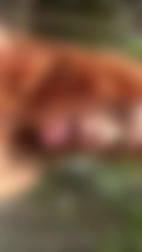 18+ Redhead's sexy nude tease, tongue out for fun. by adelka2003