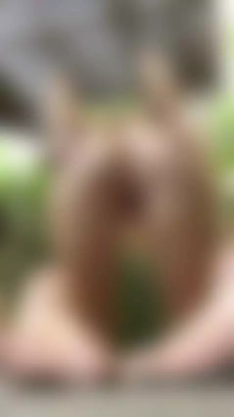 18+ Sexy nude ass bending over in lush garden. by adelka2003