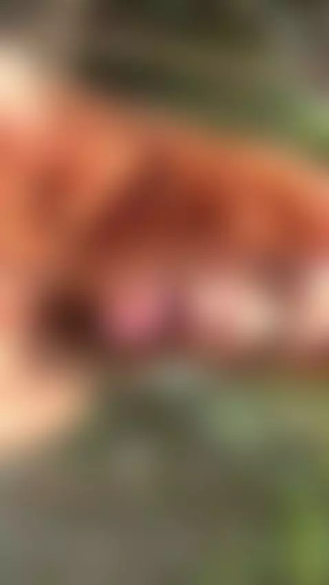 18+ Redhead's perky nude tits and playful tongue tease. by adelka2003