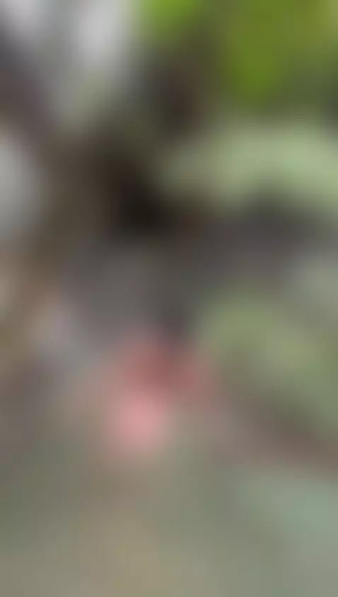 Video by atenea-jonson