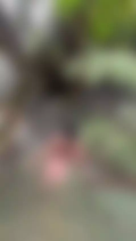 ❤️❤️atenea by atenea-jonson