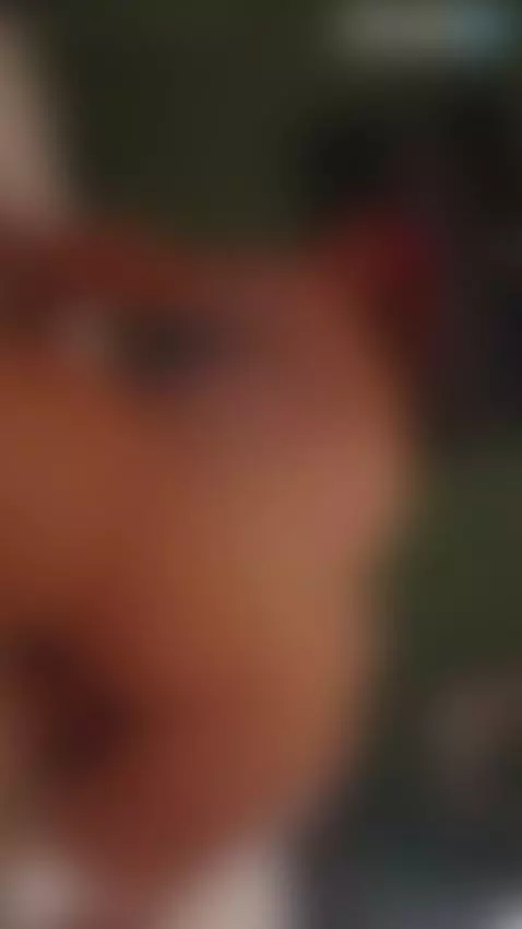 riding huge cock in reverse cowgirl by b1gtheo