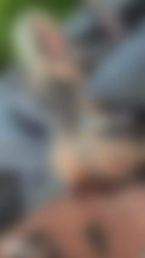 doggystyl in  public by b1gtheo