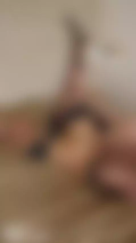 hotwife sidefuck by b1gtheo