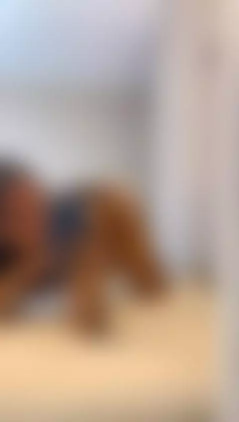 Should I be this distracting? 😈 Catch me ONLINE now→ Link in... by sharlokjamess